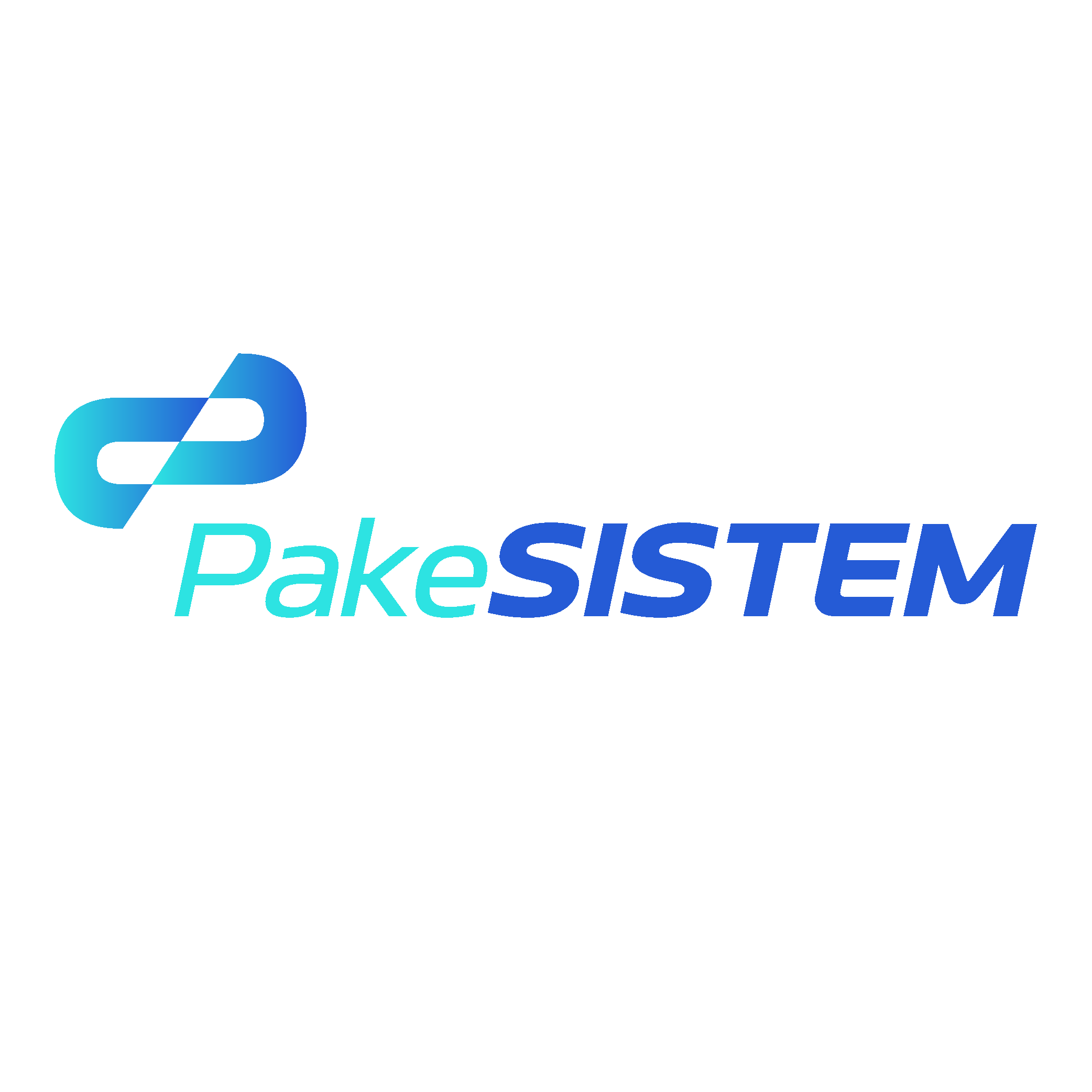 PakeSistem Logo